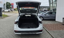 Volkswagen Passat, Business