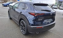 Mazda CX-30, Nagisa