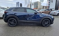 Mazda CX-30, Nagisa