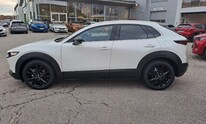 Mazda CX-30, Nagisa